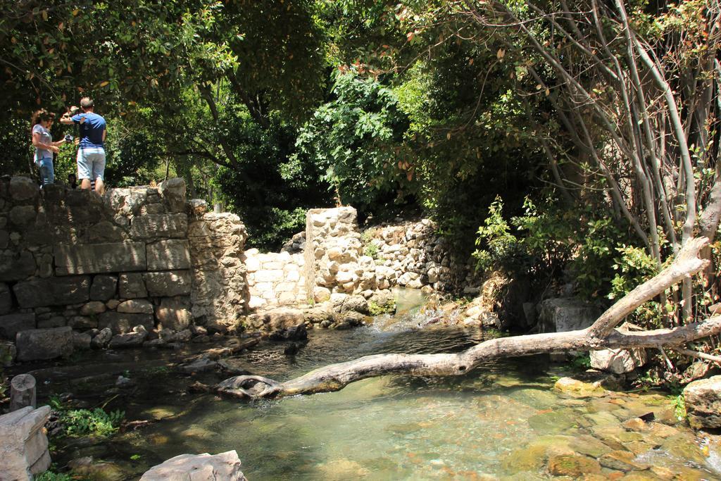 Olympos Mitos 호텔 외부 사진